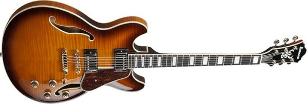 Ibanez AS93FM-VLS, **Demomodell**